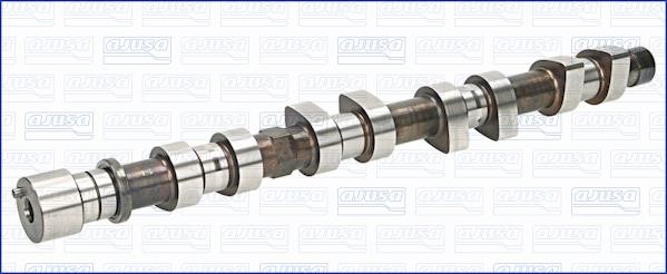 Wilmink Group WG1456163 Camshaft WG1456163: Buy near me in Poland at 2407.PL - Good price!