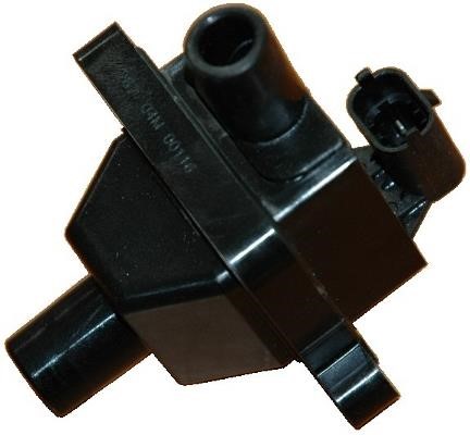 Wilmink Group WG1012207 Ignition coil WG1012207: Buy near me in Poland at 2407.PL - Good price!