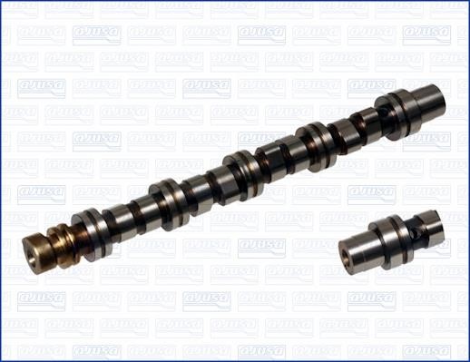 Wilmink Group WG1456304 Camshaft WG1456304: Buy near me in Poland at 2407.PL - Good price!