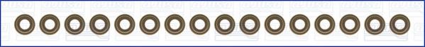 Wilmink Group WG1169839 Valve oil seals, kit WG1169839: Buy near me in Poland at 2407.PL - Good price!