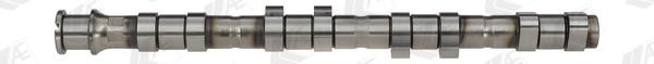 Wilmink Group WG1462582 Camshaft WG1462582: Buy near me in Poland at 2407.PL - Good price!
