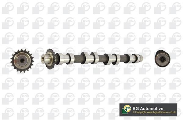 Wilmink Group WG1490647 Camshaft WG1490647: Buy near me in Poland at 2407.PL - Good price!