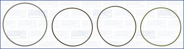 Wilmink Group WG1170254 O-rings for cylinder liners, kit WG1170254: Buy near me in Poland at 2407.PL - Good price!