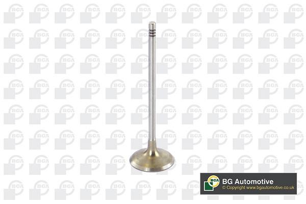 Wilmink Group WG1814440 Intake valve WG1814440: Buy near me at 2407.PL in Poland at an Affordable price!