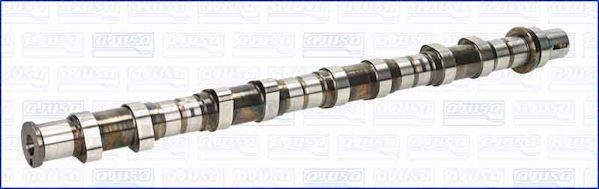 Wilmink Group WG1456171 Camshaft WG1456171: Buy near me in Poland at 2407.PL - Good price!