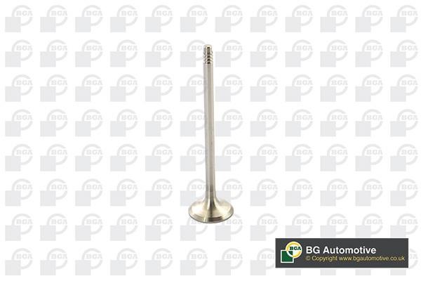 Wilmink Group WG1814443 Exhaust valve WG1814443: Buy near me in Poland at 2407.PL - Good price!