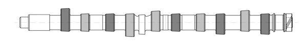 Wilmink Group WG1171002 Camshaft WG1171002: Buy near me in Poland at 2407.PL - Good price!