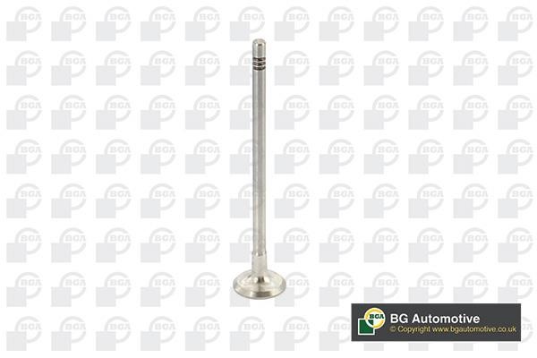 Wilmink Group WG1814483 Exhaust valve WG1814483: Buy near me in Poland at 2407.PL - Good price!