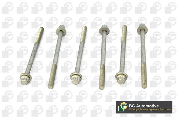 Wilmink Group WG1489987 Cylinder Head Bolts Kit WG1489987: Buy near me in Poland at 2407.PL - Good price!