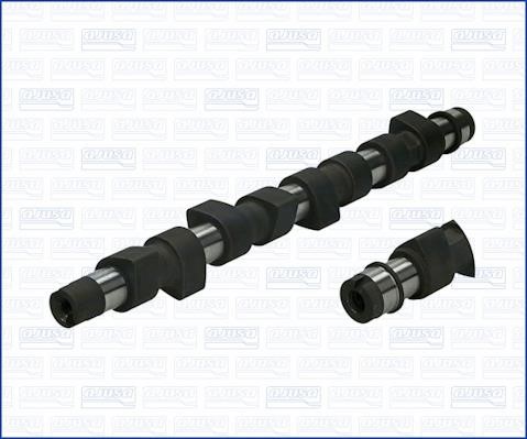 Wilmink Group WG1170917 Camshaft WG1170917: Buy near me in Poland at 2407.PL - Good price!