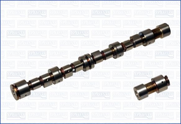 Wilmink Group WG1171048 Camshaft WG1171048: Buy near me in Poland at 2407.PL - Good price!