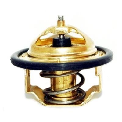 Wilmink Group WG1409196 Thermostat, coolant WG1409196: Buy near me in Poland at 2407.PL - Good price!