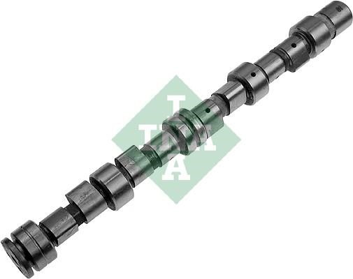 Wilmink Group WG1780227 Camshaft WG1780227: Buy near me in Poland at 2407.PL - Good price!