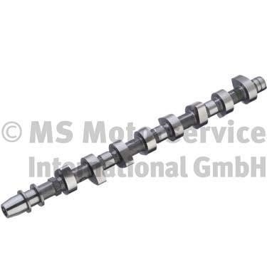 Wilmink Group WG1196165 Camshaft WG1196165: Buy near me in Poland at 2407.PL - Good price!