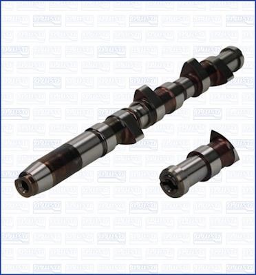 Wilmink Group WG1171009 Camshaft WG1171009: Buy near me at 2407.PL in Poland at an Affordable price!