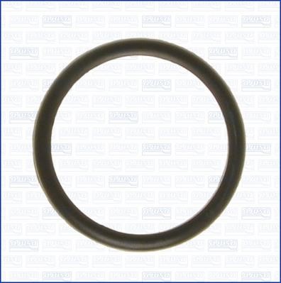 Wilmink Group WG1751099 Termostat gasket WG1751099: Buy near me in Poland at 2407.PL - Good price!
