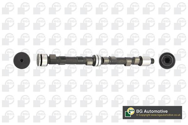 Wilmink Group WG1490519 Camshaft WG1490519: Buy near me in Poland at 2407.PL - Good price!