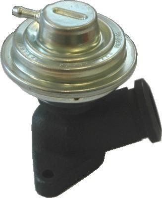 Wilmink Group WG1903836 EGR Valve WG1903836: Buy near me in Poland at 2407.PL - Good price!