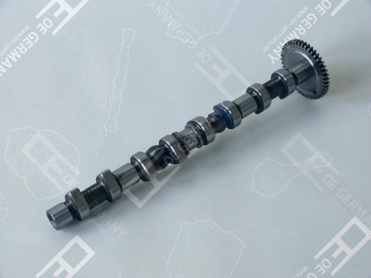 Wilmink Group WG1484843 Camshaft WG1484843: Buy near me in Poland at 2407.PL - Good price!
