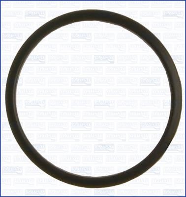 Wilmink Group WG1751096 Termostat gasket WG1751096: Buy near me in Poland at 2407.PL - Good price!