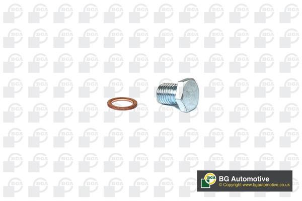 Wilmink Group WG1766631 Sump plug WG1766631: Buy near me in Poland at 2407.PL - Good price!