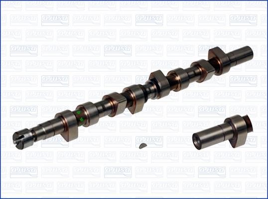 Wilmink Group WG1456158 Camshaft WG1456158: Buy near me in Poland at 2407.PL - Good price!