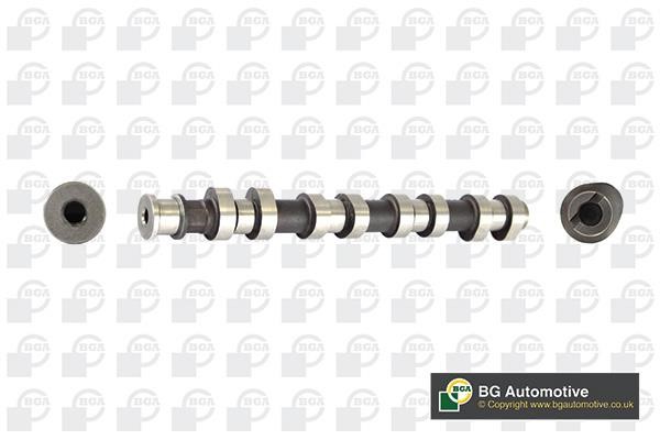 Wilmink Group WG1490413 Camshaft WG1490413: Buy near me at 2407.PL in Poland at an Affordable price!