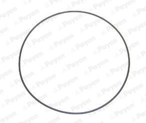 Wilmink Group WG1183122 O-ring cylinder liner WG1183122: Buy near me in Poland at 2407.PL - Good price!