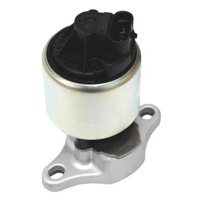 Wilmink Group WG1015279 EGR Valve WG1015279: Buy near me in Poland at 2407.PL - Good price!