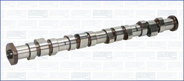Wilmink Group WG1456479 Camshaft WG1456479: Buy near me in Poland at 2407.PL - Good price!