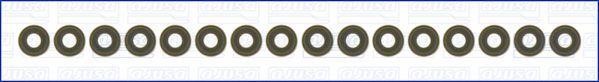 Wilmink Group WG1753813 Valve oil seals, kit WG1753813: Buy near me in Poland at 2407.PL - Good price!
