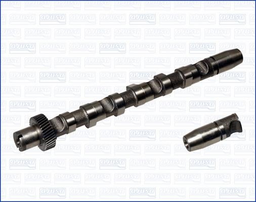 Wilmink Group WG1456645 Camshaft WG1456645: Buy near me in Poland at 2407.PL - Good price!