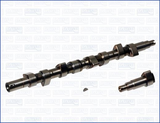 Wilmink Group WG1171175 Camshaft WG1171175: Buy near me in Poland at 2407.PL - Good price!