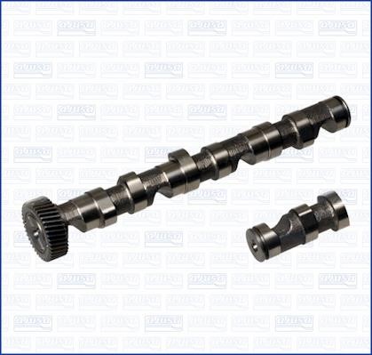 Wilmink Group WG1456383 Camshaft WG1456383: Buy near me in Poland at 2407.PL - Good price!