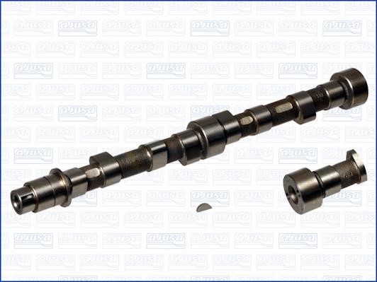 Wilmink Group WG1170951 Camshaft WG1170951: Buy near me in Poland at 2407.PL - Good price!