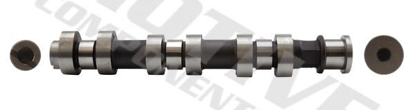 Motive Components T2906 Camshaft T2906: Buy near me in Poland at 2407.PL - Good price!