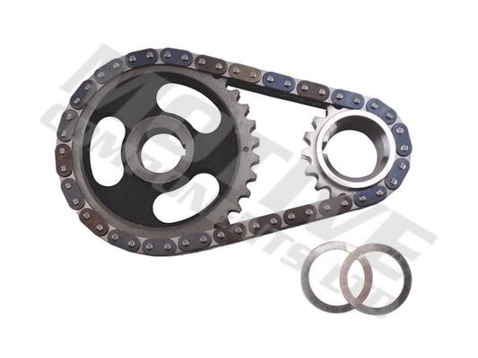 Motive Components TCK213 Timing chain kit TCK213: Buy near me in Poland at 2407.PL - Good price!