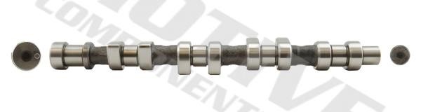 Motive Components T1955 Camshaft T1955: Buy near me in Poland at 2407.PL - Good price!