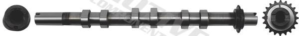 Motive Components T6554 Camshaft T6554: Buy near me in Poland at 2407.PL - Good price!