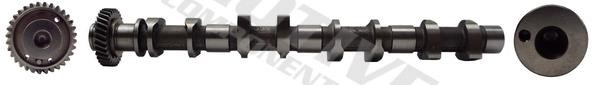 Motive Components T8199 Camshaft T8199: Buy near me in Poland at 2407.PL - Good price!