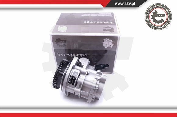 Esen SKV 10SKV289 Hydraulic Pump, steering system 10SKV289: Buy near me in Poland at 2407.PL - Good price!