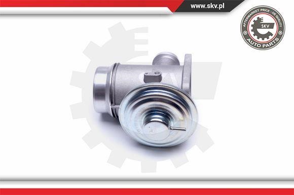 Esen SKV 14SKV176 EGR Valve 14SKV176: Buy near me in Poland at 2407.PL - Good price!