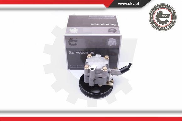 Esen SKV 10SKV276 Hydraulic Pump, steering system 10SKV276: Buy near me in Poland at 2407.PL - Good price!