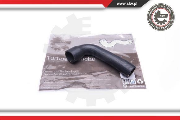 Esen SKV 24SKV917 Intake hose 24SKV917: Buy near me in Poland at 2407.PL - Good price!