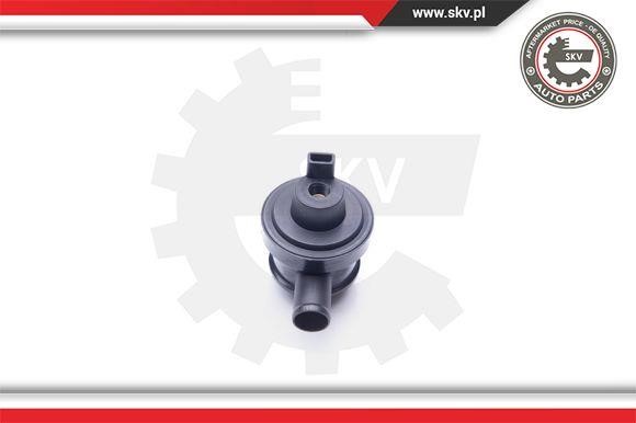 Esen SKV 31SKV096 Injection pump valve 31SKV096: Buy near me in Poland at 2407.PL - Good price!