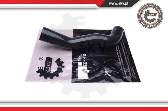 Esen SKV 43SKV248 Intake hose 43SKV248: Buy near me in Poland at 2407.PL - Good price!