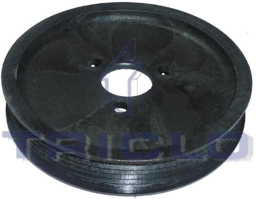Triclo 422369 Belt Pulley, hydraulic pump (leveling control) 422369: Buy near me in Poland at 2407.PL - Good price!