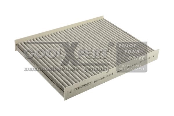 BBR Automotive 0011018743 Activated Carbon Cabin Filter 0011018743: Buy near me in Poland at 2407.PL - Good price!