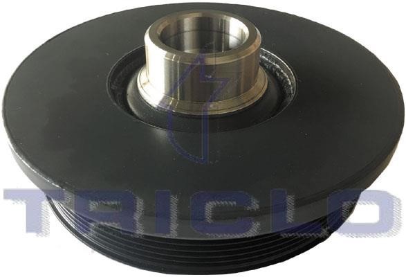 Triclo 422320 Belt Pulley, crankshaft 422320: Buy near me in Poland at 2407.PL - Good price!