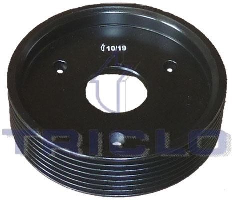 Triclo 425270 Power Steering Pulley 425270: Buy near me in Poland at 2407.PL - Good price!